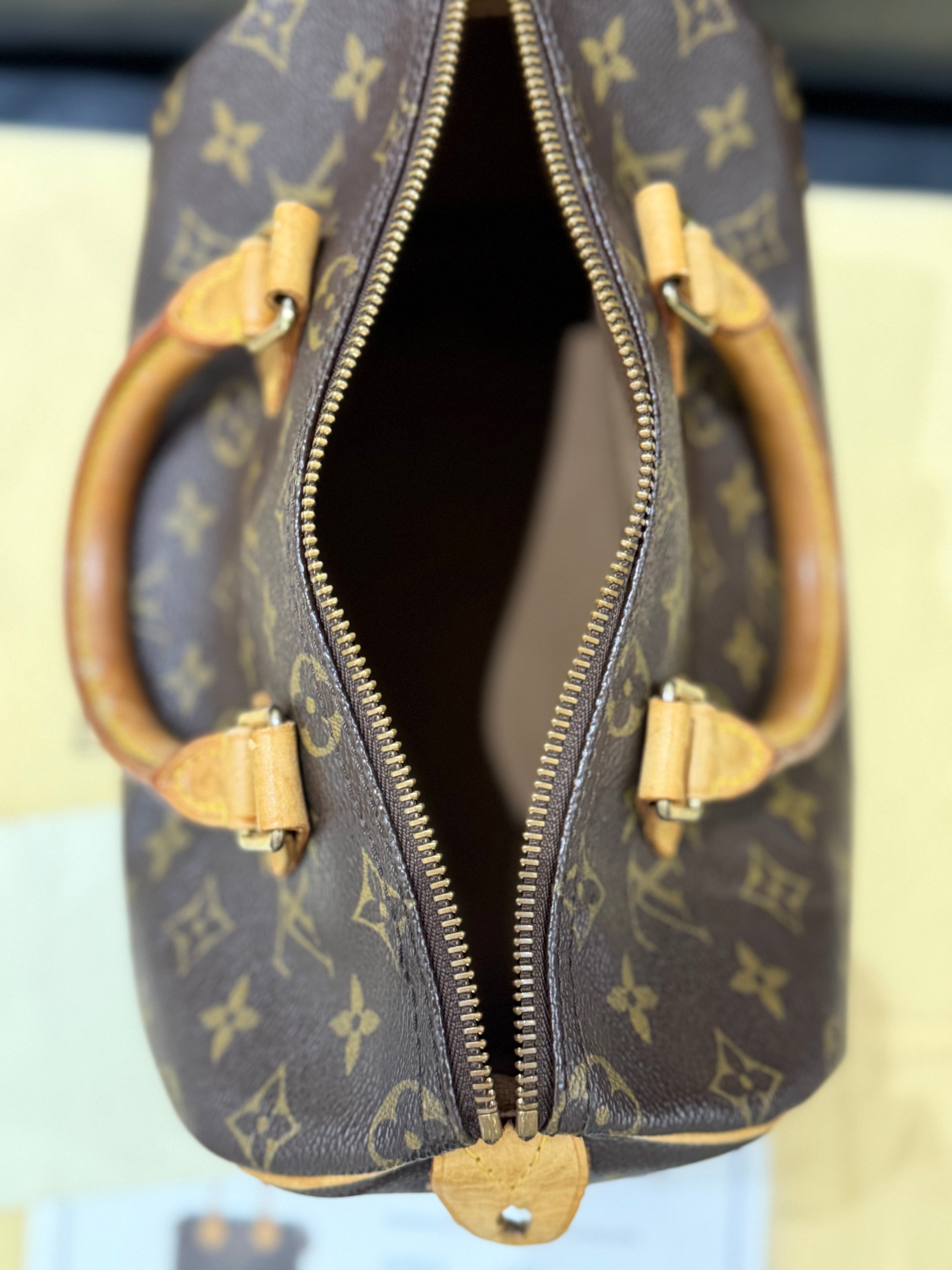 Speedy 25 Louis Vuitton