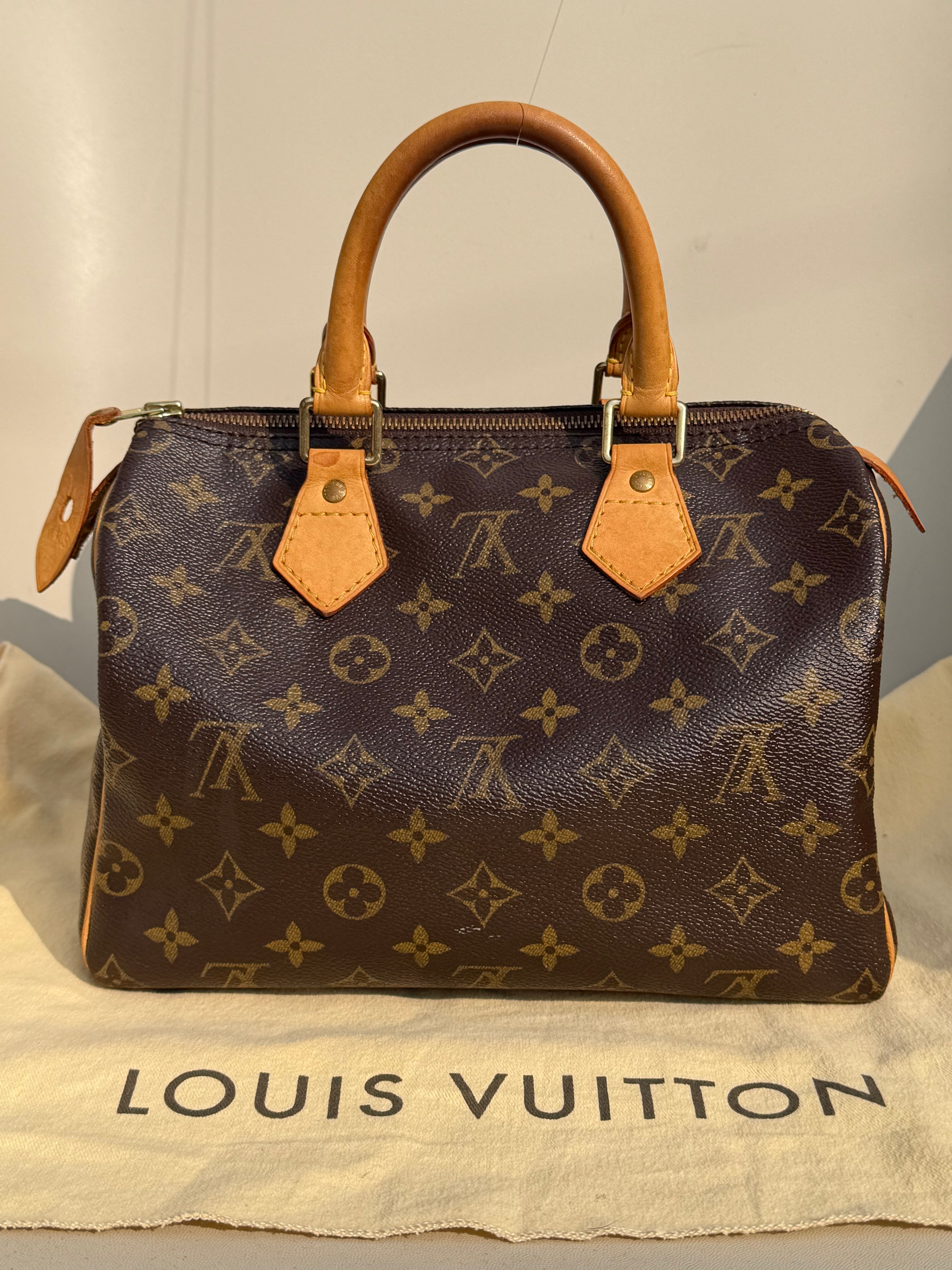 Speedy 25 Louis Vuitton